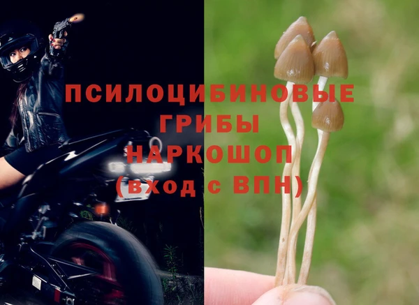 марки nbome Абаза